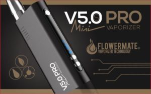 Mobile Vaporizer Test Flowermate V5.0S Pro Mini